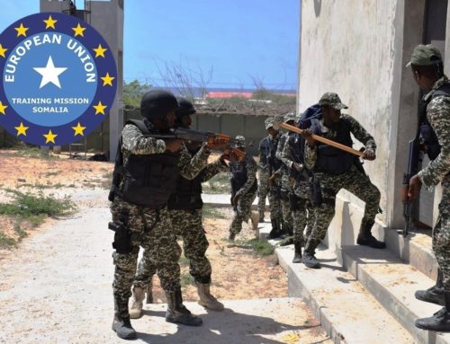 CLOSING CEREMONY AND EXERCISE OF THE 2nd LIGHT INFANTRY COMPANY COURSE LED BY EUROPEAN UNION TRAINING MISSION – SOMALIA